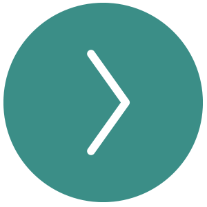 Chat Collectivit&eacute; Locale